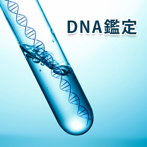 認知の訴え・DNA鑑定